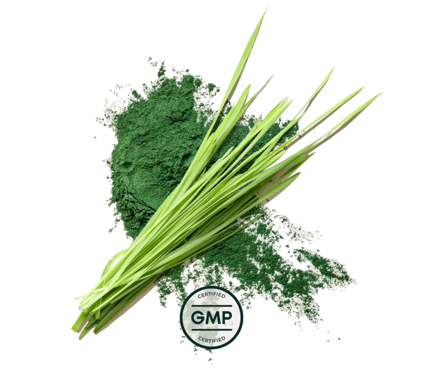 Primal Greens Hot on Sale - Image 3
